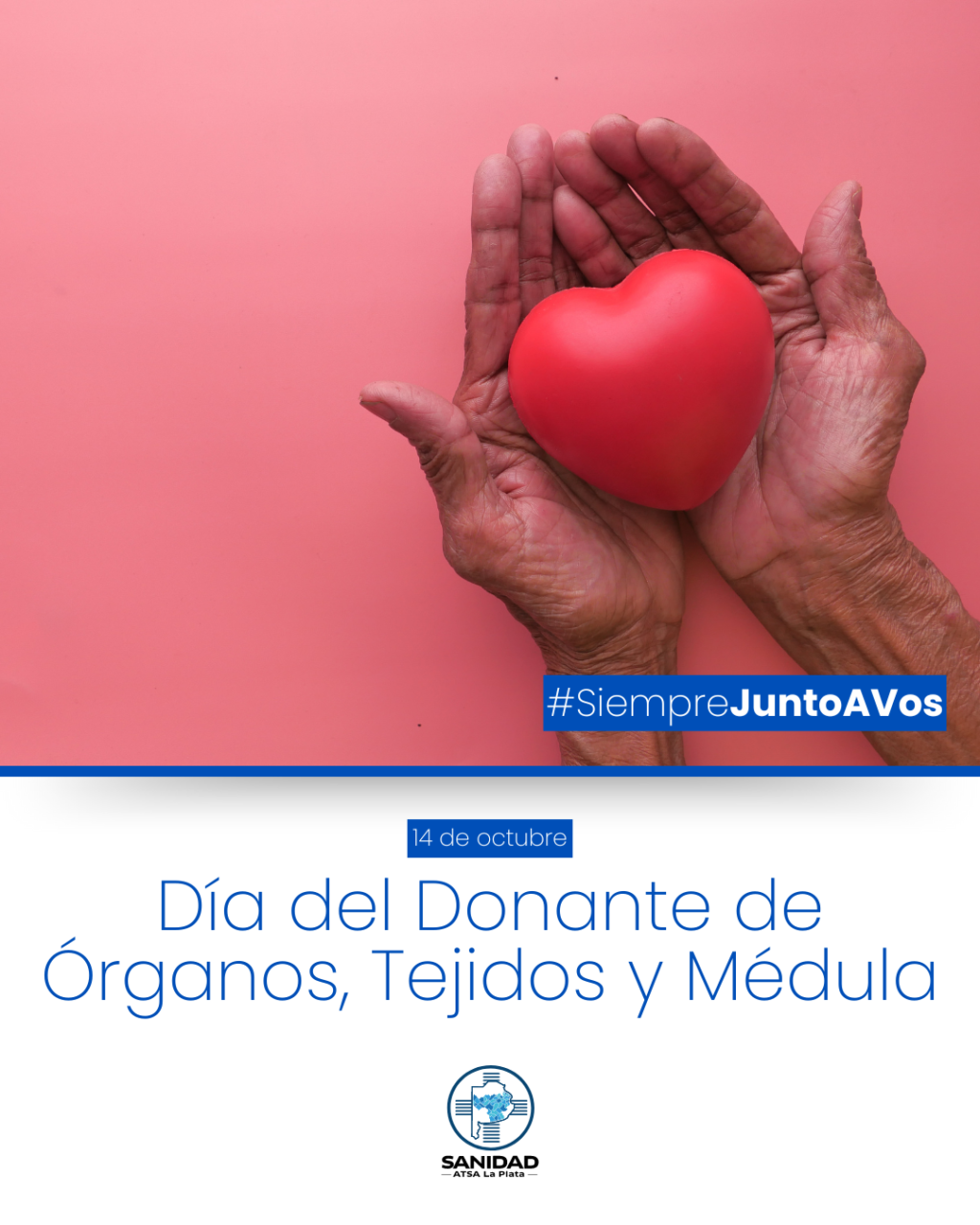 1410 - Día del Donante de Órganos, Tejidos y Médula