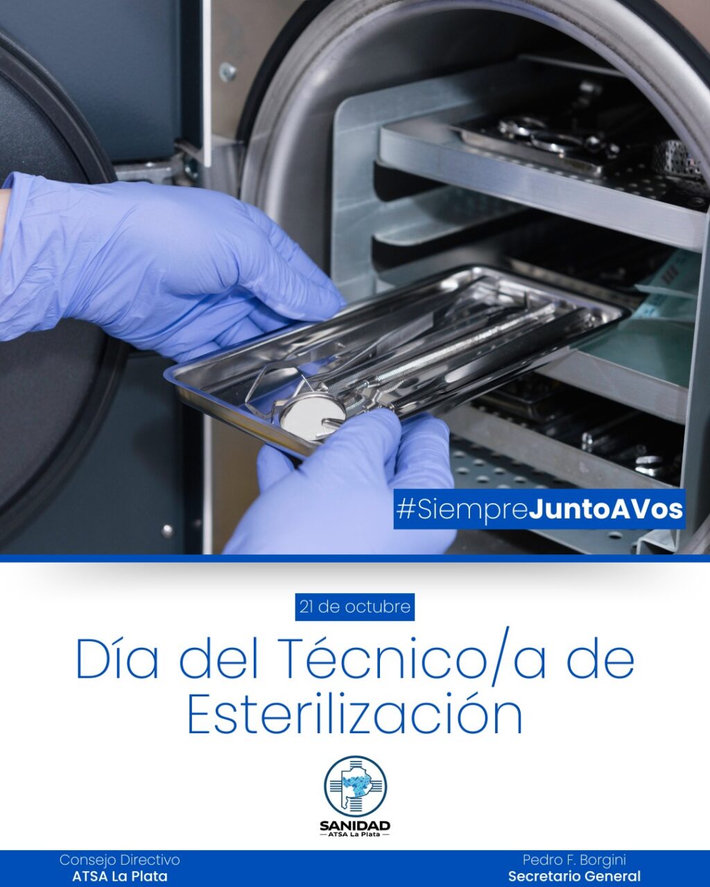 WhatsApp Image 2024-10-17 at 10.21.15 (1)