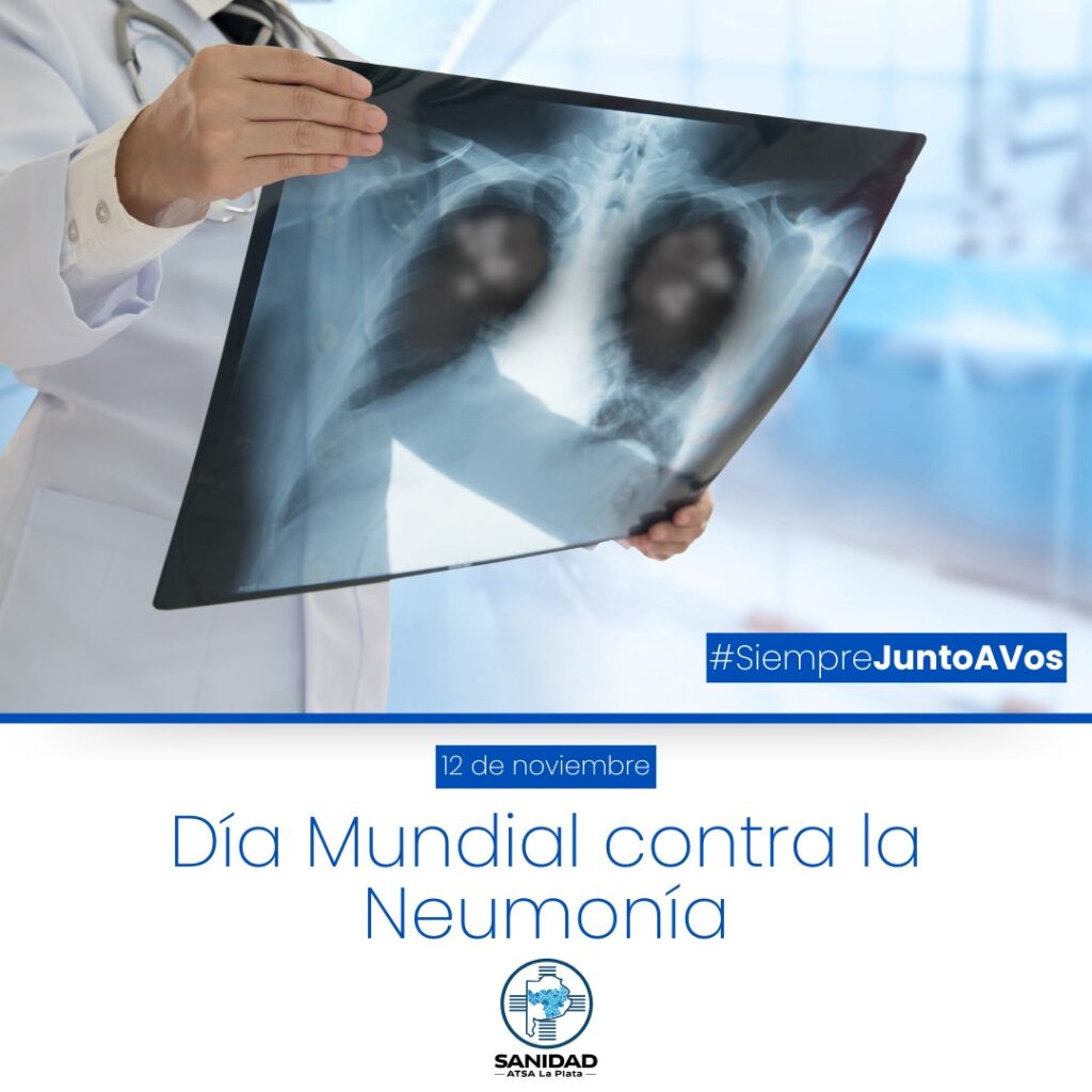 WhatsApp Image 2024-11-11 at 13.20.37