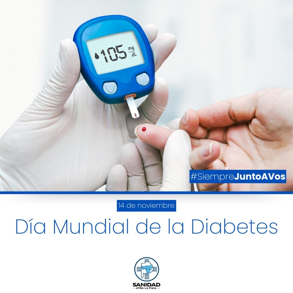 WhatsApp Image 2024-11-12 at 08.41.38 (1)