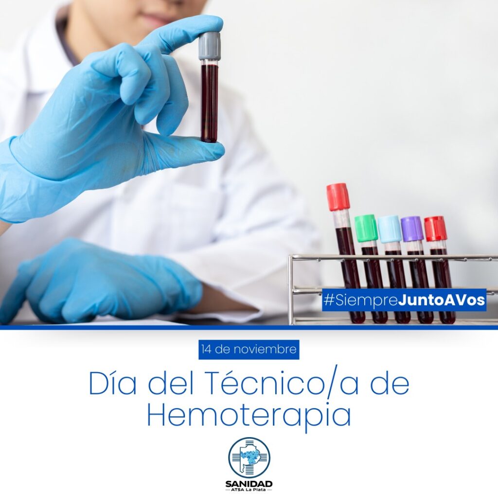 WhatsApp Image 2024-11-12 at 08.41.38