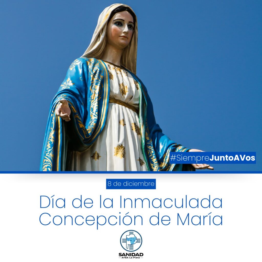 WhatsApp Image 2024-12-05 at 09.16.07