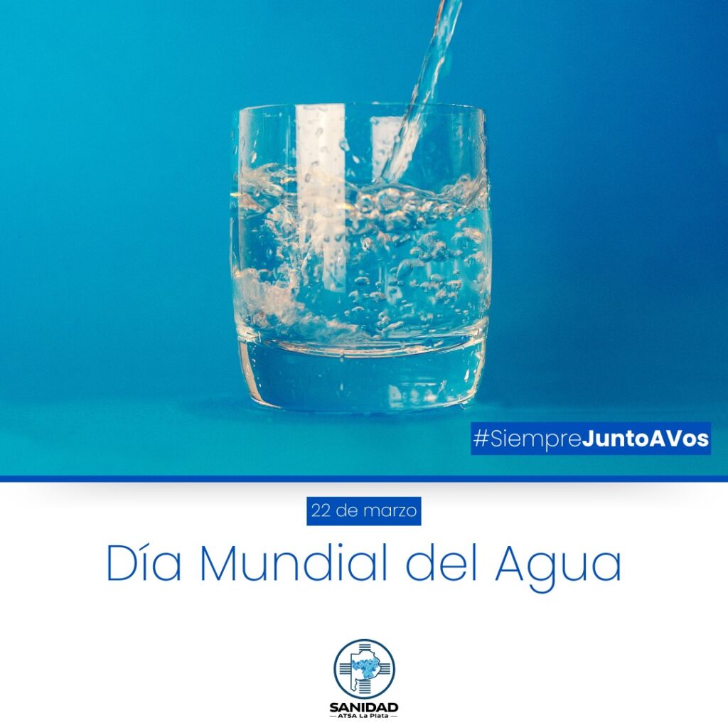 WhatsApp Image 2025-03-05 at 09.14.24