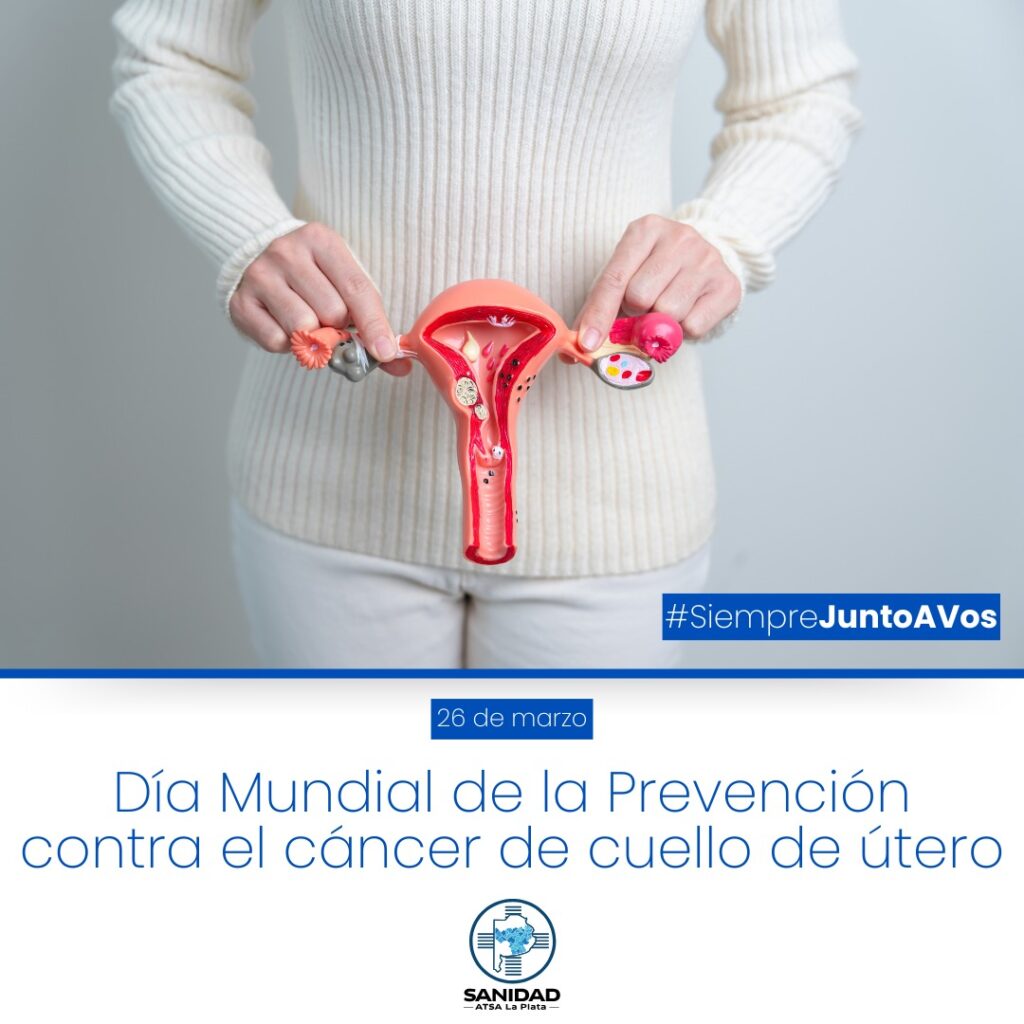 WhatsApp Image 2025-03-05 at 09.14.24 (3)