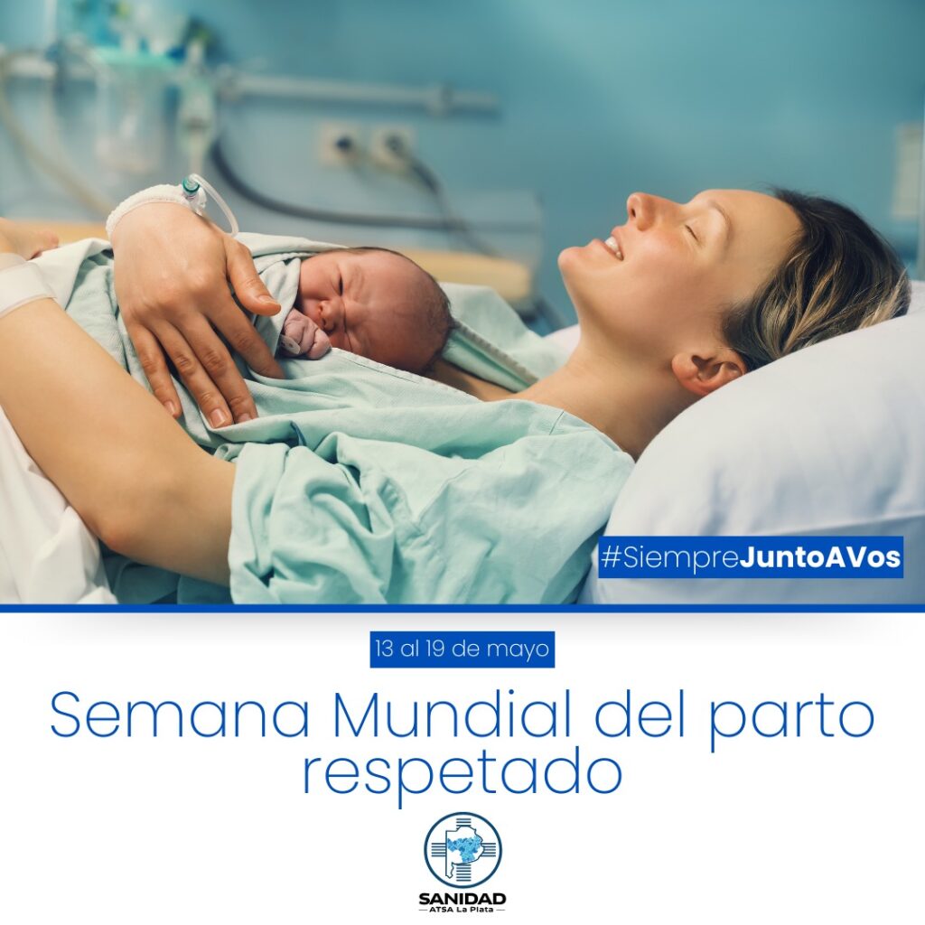 WhatsApp Image 2025-05-12 at 13.08.08