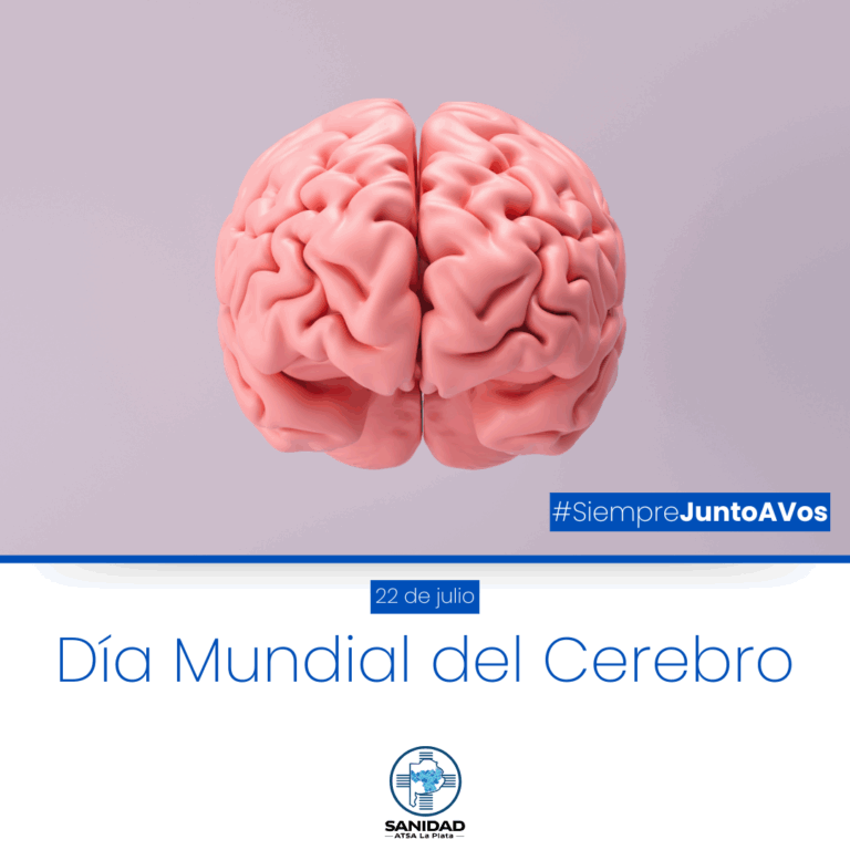 Día Mundial del Cerebro