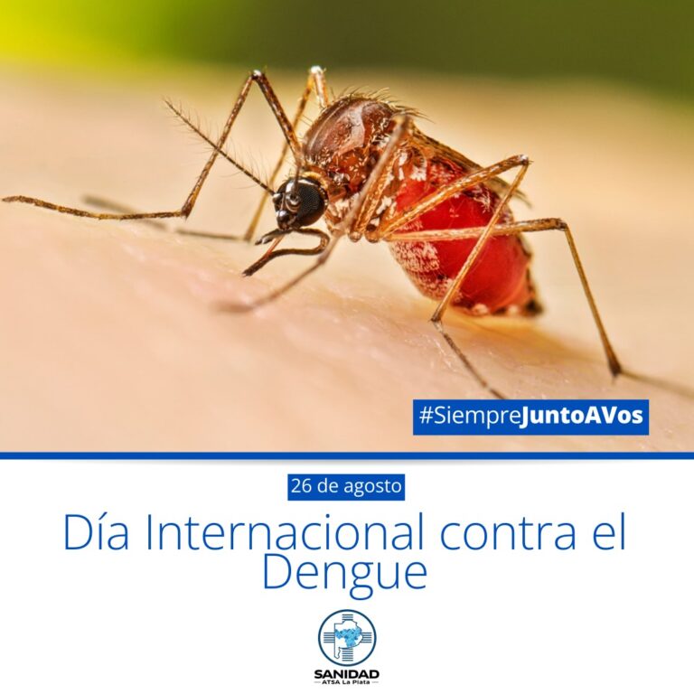 Día internacional contra el Dengue