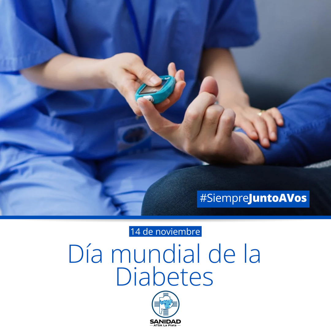 WhatsApp Image 2025-11-11 at 11.12.12