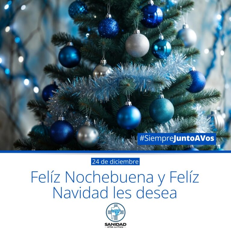 ¡Felíz Nochebuena y Felíz Navidad!