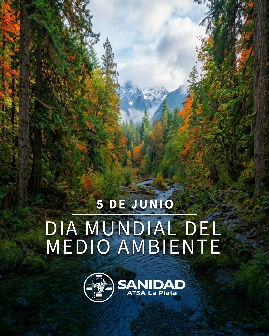 Día Mundial del Medio Ambiente